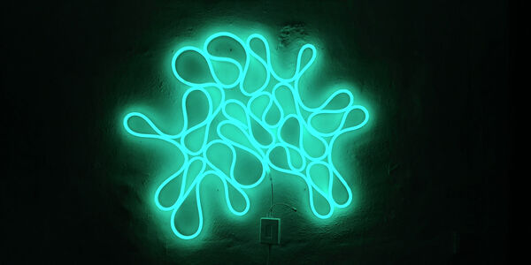 Lichtschlingen - Regina Kochs