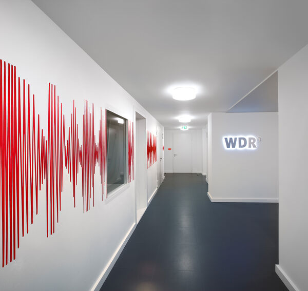 Schwingungen - Regina Kochs